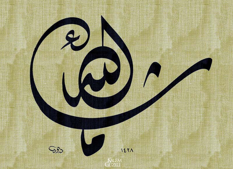 &copy; Davut Bektaş - Levha - Mâşâallâh