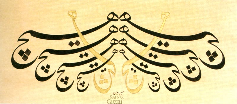 &copy; Hüseyin Gündüz - Müselsel levha