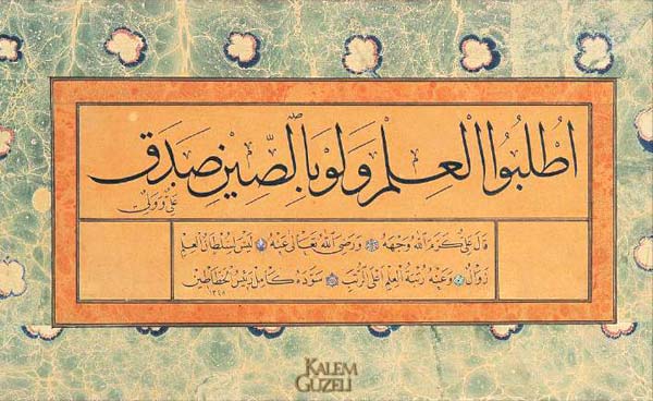 &copy; Kamil Akdik - Kıta