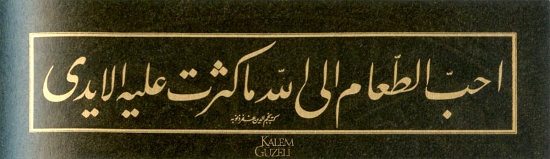 &copy; Necmeddin Okyay - Levha - Güzel söz