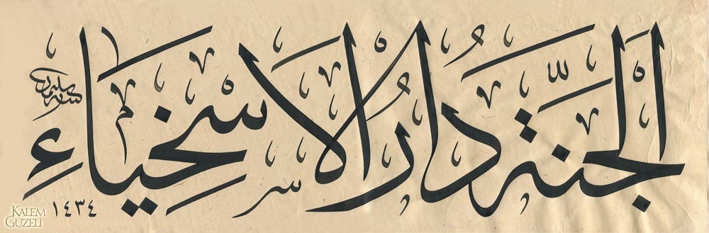 &copy; Süleyman Berk - Levha